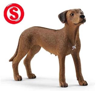 Schleich Rhodesian Ridgeback