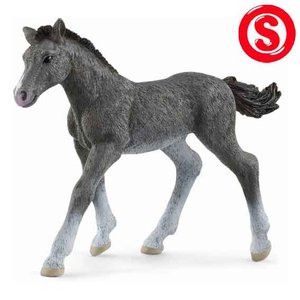 Schleich Trakehner veulen