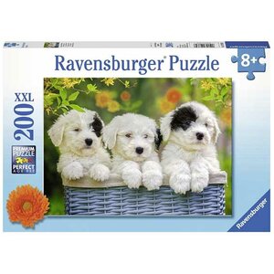puzzel 127658 puppies