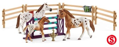 Schleich toernooi trainingsset