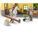 Schleich 42485