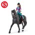 Schleich 42541