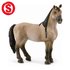 Schleich Criollo Definitivo merrie