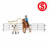 Schleich 42577