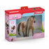 Schleich-42621-Achal-Tekkiner-hengst-b.JPG