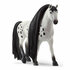 Schleich-42622-Knabstrupper-hengst-b.JPG