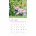 Kitten kalender
