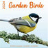 Kalender Tuinvogels / Garden birds 2024