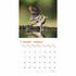 Kalender Garden Birds