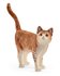 Schleich rode kater