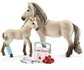 Schleich 42430