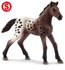 Schleich appaloosa veulen