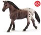 Schleich Appaloosa merrie