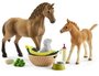 Schleich 42432