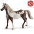 Schleich Paint horse ruin