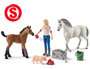 Schleich dierenarts